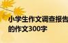 小學(xué)生作文調(diào)查報告400字 小學(xué)生調(diào)查報告的作文300字