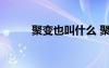 聚變也叫什么 聚變的解釋及造句