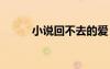 小說回不去的愛 回不去的愛詩歌