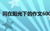 同在陽光下的作文600字 同在陽光下的作文