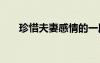 珍惜夫妻感情的一段話 感情的一段話