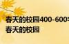 春天的校園400-600字作文 春天的校園作文：春天的校園
