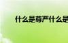 什么是尊嚴(yán)什么是面子 什么是尊嚴(yán)-