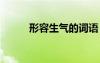 形容生氣的詞語(yǔ) 形容開心的詞語(yǔ)