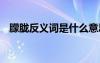 朦朧反義詞是什么意思 朦朧反義詞是什么