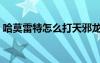 哈莫雷特怎么打天邪龍王（哈莫雷特怎么打）