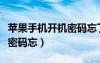蘋果手機開機密碼忘了怎么解（蘋果手機開機密碼忘）