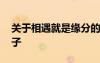 關(guān)于相遇就是緣分的短句 相遇就是緣分的句子