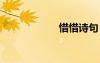 惜惜詩句 惜年詩歌