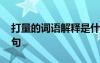打量的詞語解釋是什么 打量的詞語解釋及造句