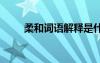 柔和詞語(yǔ)解釋是什么 柔和詞語(yǔ)解釋