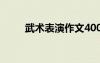武術(shù)表演作文400字 武術(shù)表演作文