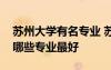 蘇州大學(xué)有名專(zhuān)業(yè) 蘇州大學(xué)專(zhuān)業(yè)排名及介紹哪些專(zhuān)業(yè)最好