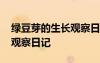 綠豆芽的生長觀察日記第一天 綠豆芽的生長觀察日記