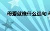 母愛(ài)就像什么造句 母愛(ài)就像什么排比句