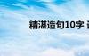 精湛造句10字 詞語精湛的造句