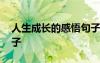 人生成長(zhǎng)的感悟句子唯美 人生成長(zhǎng)的感悟句子