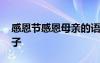 感恩節(jié)感恩母親的語句 感恩母親節(jié)的經(jīng)典句子