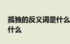 孤獨的反義詞是什么四個字 孤獨的反義詞是什么