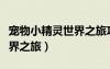 寵物小精靈世界之旅攻略大全（寵物小精靈世界之旅）