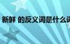 新鮮 的反義詞是什么詞 新鮮的反義詞是哪些