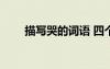 描寫(xiě)哭的詞語(yǔ) 四個(gè)字 描寫(xiě)笑的詞語(yǔ)