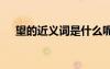 望的近義詞是什么呢 望的同義詞是什么