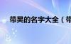 帶昊的名字大全（帶昊字100分的名字）