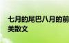 七月的尾巴八月的前奏說的是 七月的尾巴優(yōu)美散文