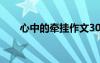 心中的牽掛作文300 心中的牽掛作文