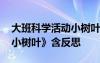 大班科學(xué)活動(dòng)小樹葉 幼兒園大班科學(xué)教案《小樹葉》含反思