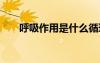 呼吸作用是什么循環(huán) 呼吸作用是什么