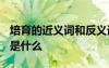 培育的近義詞和反義詞是什么? 培育的近義詞是什么