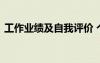 工作業(yè)績(jī)及自我評(píng)價(jià) 個(gè)人工作能力自我評(píng)價(jià)