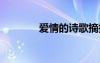愛情的詩(shī)歌摘抄 愛情的詩(shī)歌