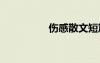 傷感散文短篇 傷感散文