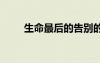 生命最后的告別的句子 告別的句子