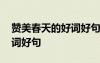贊美春天的好詞好句摘抄大全 贊美春天的好詞好句