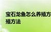 寶石龍魚怎么養(yǎng)殖方法圖片 寶石龍魚怎么養(yǎng)殖方法