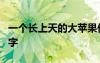 一個長上天的大蘋果作文300字 蘋果作文300字