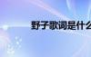 野子歌詞是什么意思 野子歌詞