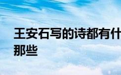 王安石寫的詩都有什么 王安石所寫過詩都有那些
