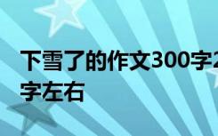 下雪了的作文300字200個(gè)字 下雪了作文100字左右