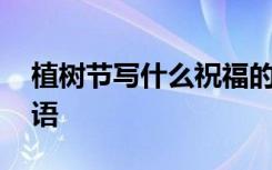 植樹(shù)節(jié)寫(xiě)什么祝福的話 給朋友的植樹(shù)節(jié)祝福語(yǔ)