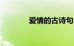 愛情的古詩句 于愛情的古詩