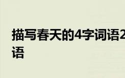 描寫春天的4字詞語20個 描寫春天的4個字詞語