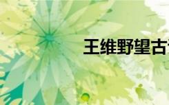 王維野望古詩 野望古詩
