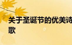 關(guān)于圣誕節(jié)的優(yōu)美詩(shī)句 描寫圣誕節(jié)的經(jīng)典詩(shī)歌