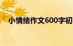 小情緒作文600字初中 小情緒作文600字