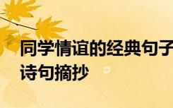 同學(xué)情誼的經(jīng)典句子旅游光有感 同學(xué)情誼的詩句摘抄